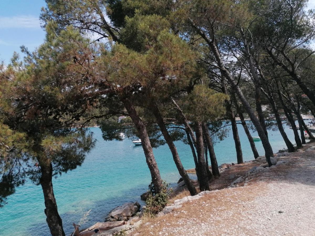 Villa Novamarin Drage Εξωτερικό φωτογραφία